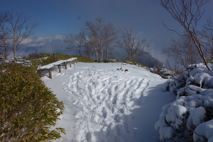 a0287336_23223654.jpg