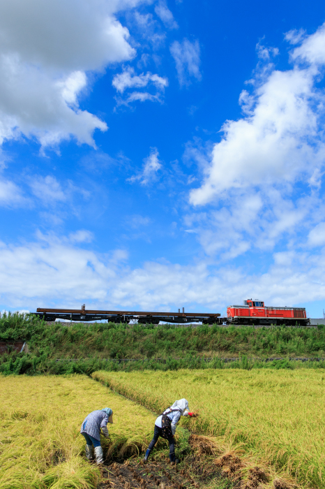 初秋の候。【9/9 水郡線谷田川工臨】_a0335036_19313439.jpg