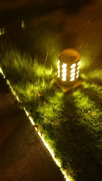 d0344038_17120865.jpg