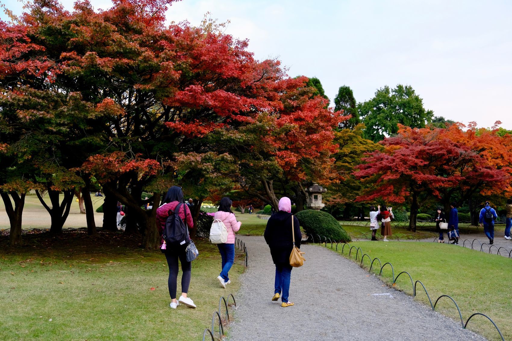 東京 街角スナップ　紅葉の新宿御苑　2016.11.17　Autumn in Shinjuku-Gyoen, Tokyo_b0212342_17354679.jpg