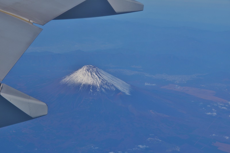 e0095142_2029296.jpg