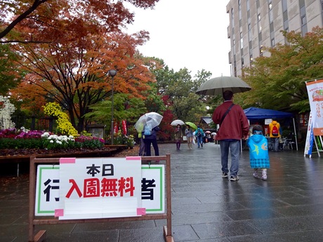 a0072247_7592541.jpg
