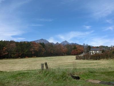 評判通りの美味しさ♪_f0019247_13435087.jpg