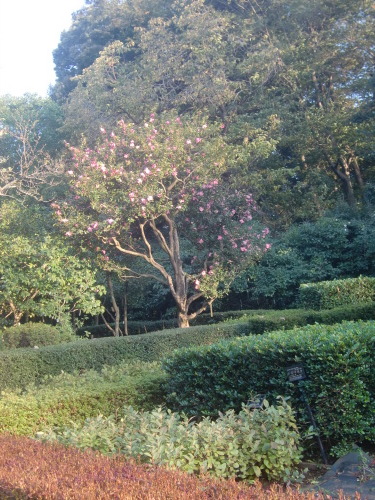 f0329849_16053356.jpg