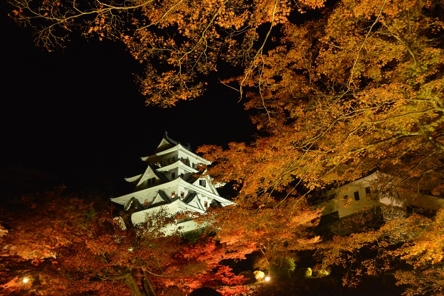 郡上八幡城　紅葉_a0055650_1533756.jpg