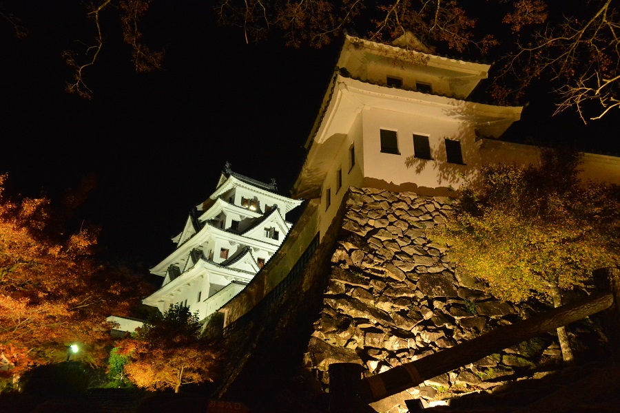 郡上八幡城　紅葉_a0055650_1535247.jpg