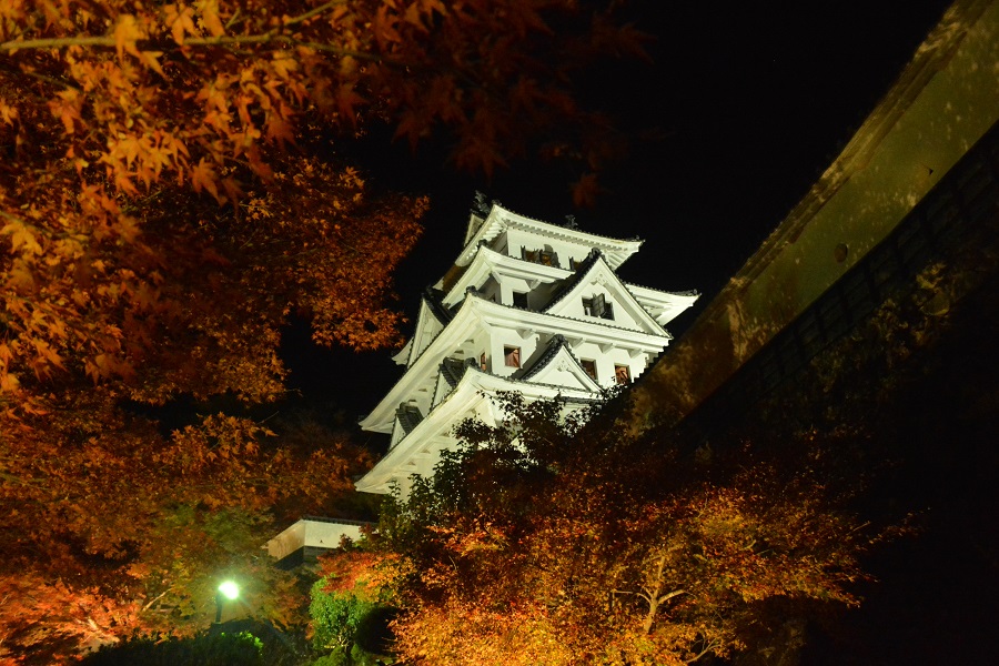 郡上八幡城　紅葉_a0055650_1584367.jpg