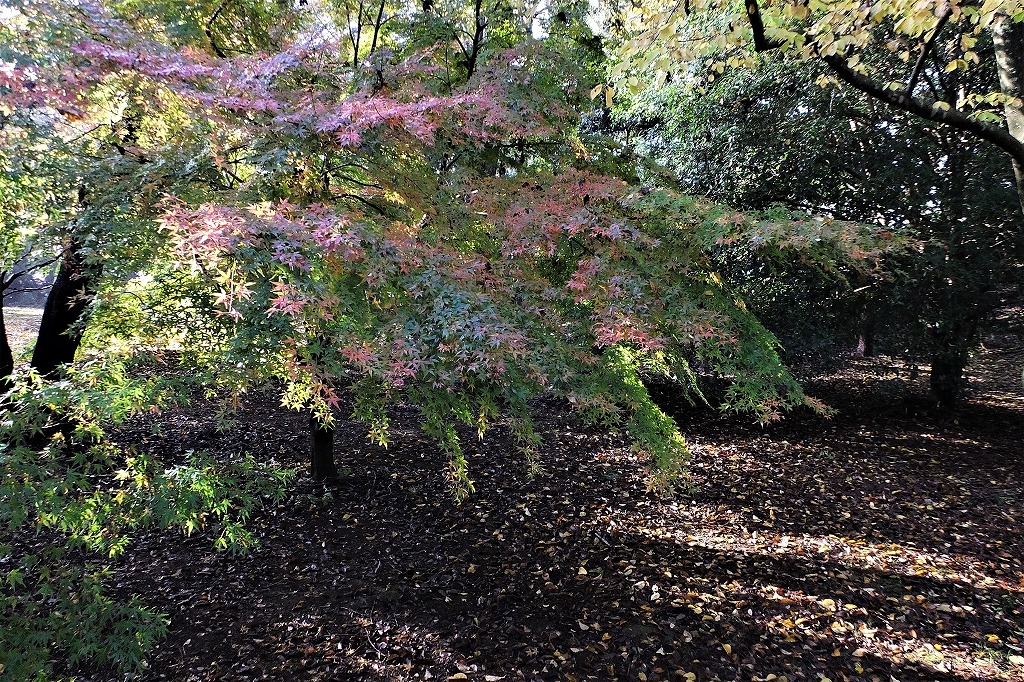 b0236251_1110113.jpg