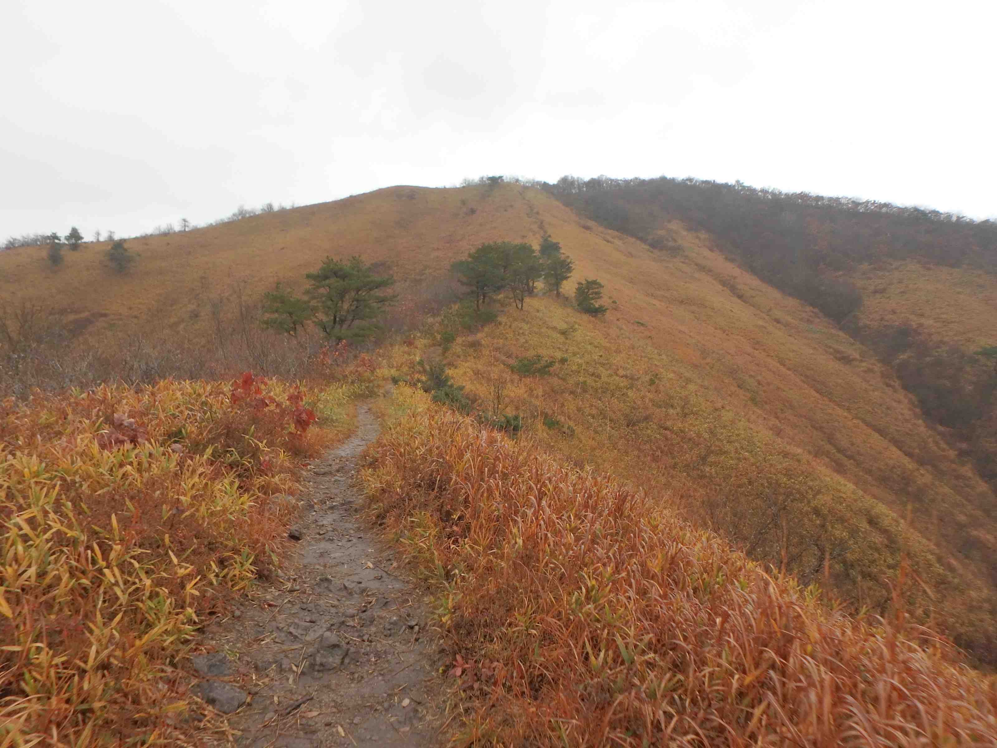 2016/11/20上蒜山登山学校交流登山_d0075852_18192057.jpg