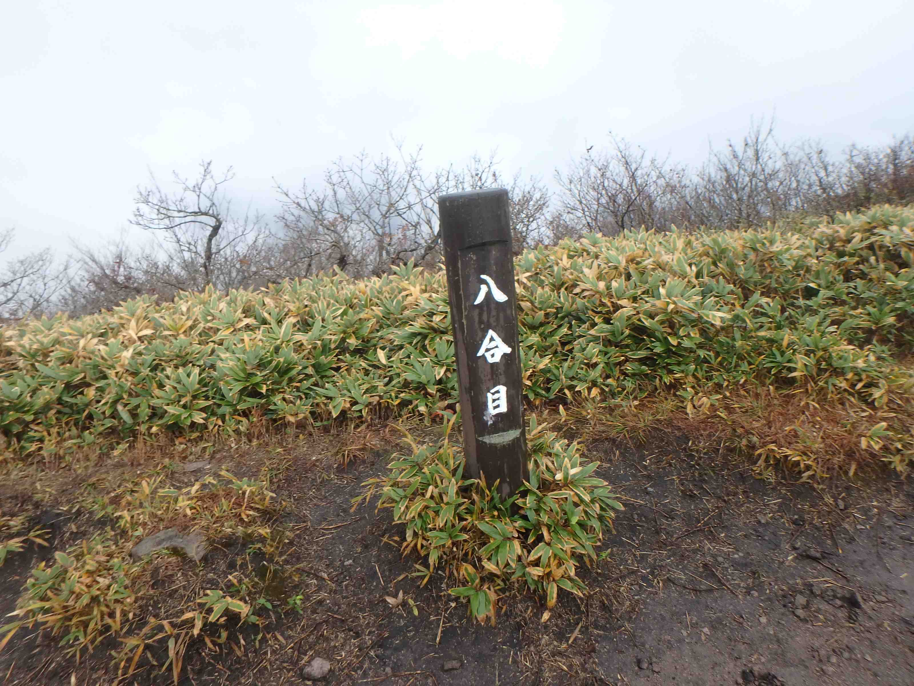 2016/11/20上蒜山登山学校交流登山_d0075852_18243270.jpg