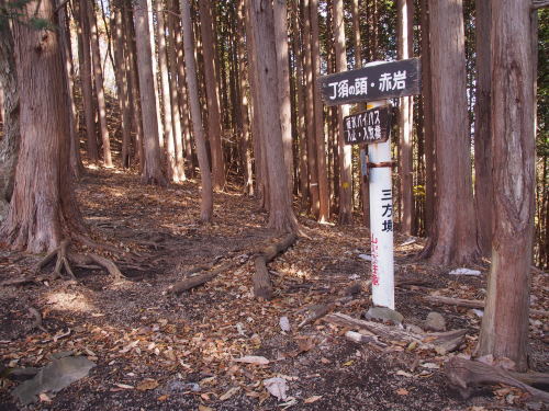 b0335256_20431214.jpg