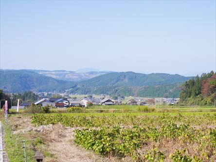 e0044657_23313720.jpg