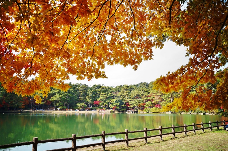 再度公園 修法ヶ原池の紅葉 たんぶーらんの戯言