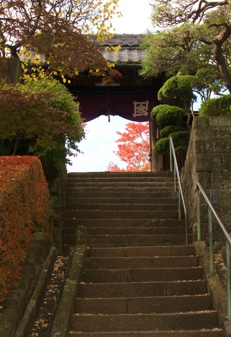 a0248459_16184020.jpg