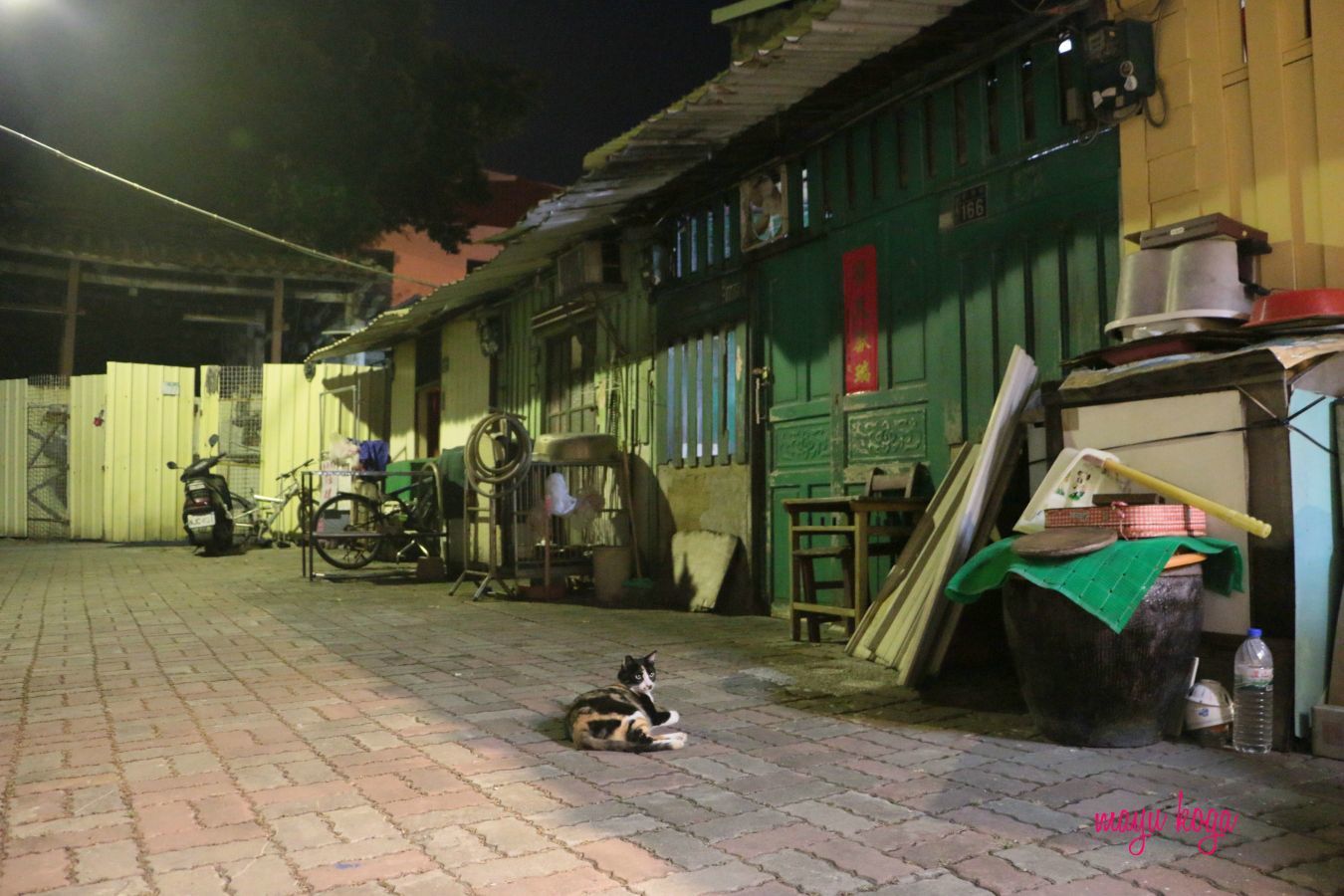 猫ガイドに台南の夜を案内してもらう_e0255060_00105533.jpg
