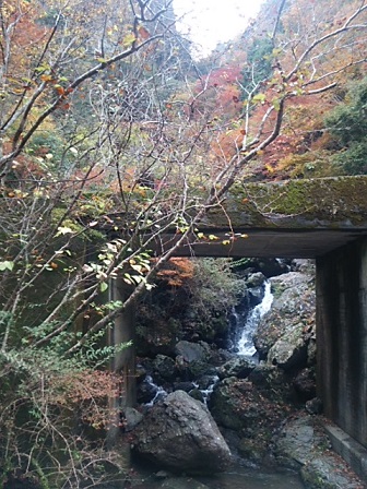 c0172261_603110.jpg