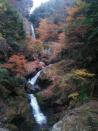 c0172261_611976.jpg