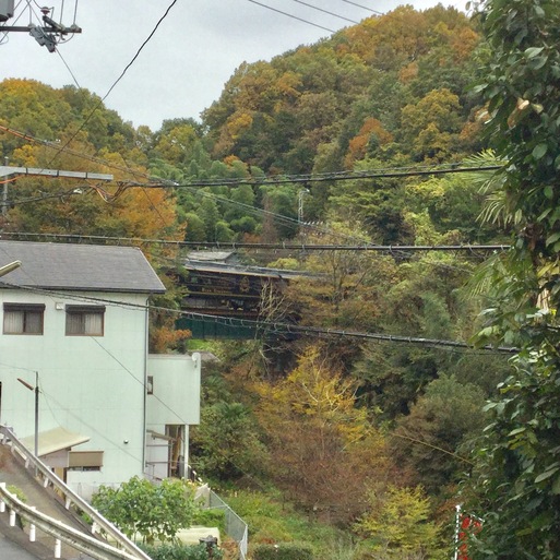 奈良・吉野大淀町・5条市を経て和歌山県・橋本市_a0053063_572716.jpg