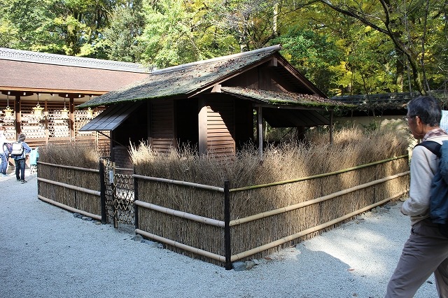 b0044663_11481610.jpg