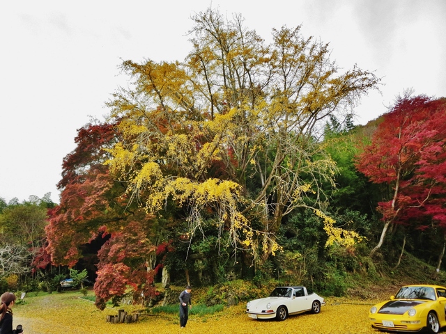 2016　ちーむ・めるへん　大忘年会　in 播磨　その4　そして　お別れ_c0099564_19425025.jpg