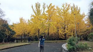 f0256164_11143110.jpg
