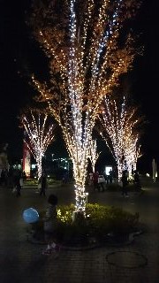 f0256164_11154636.jpg