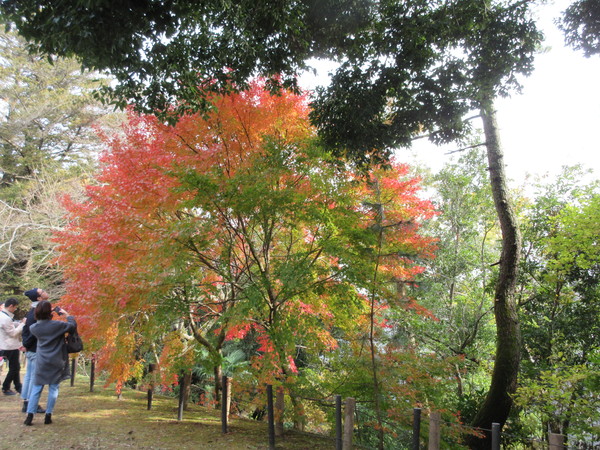 成田山新勝寺_d0010065_22363254.jpg