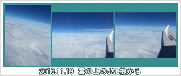 a0052666_16174287.jpg