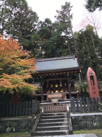 f0363168_07192994.jpeg