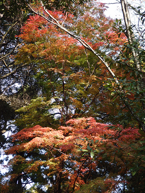 b0006870_23354628.jpg