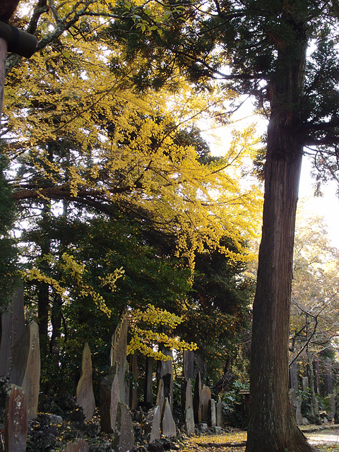 b0006870_2336929.jpg