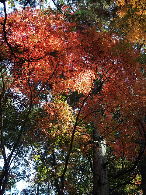 b0006870_2337129.jpg