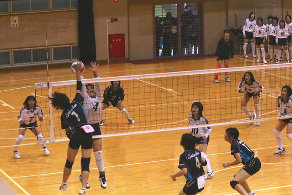 b0270872_10351283.jpg