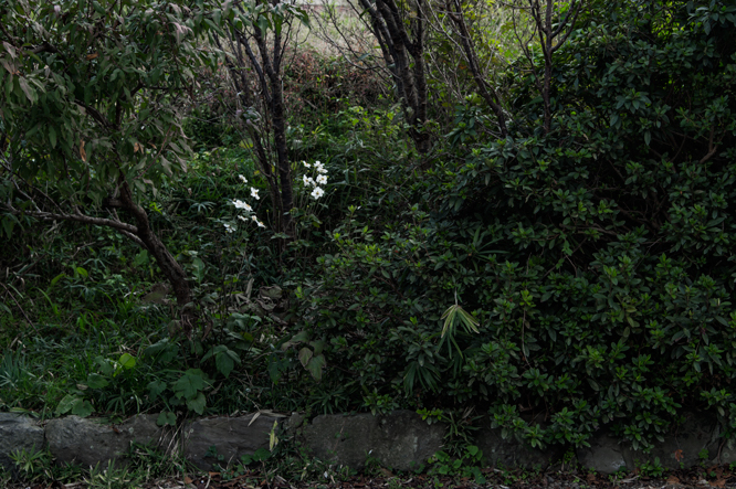 c0108673_23323573.jpg