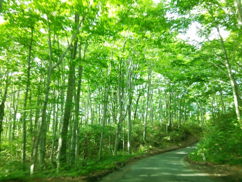 東北へ～乳頭温泉_a0272878_22045366.jpg