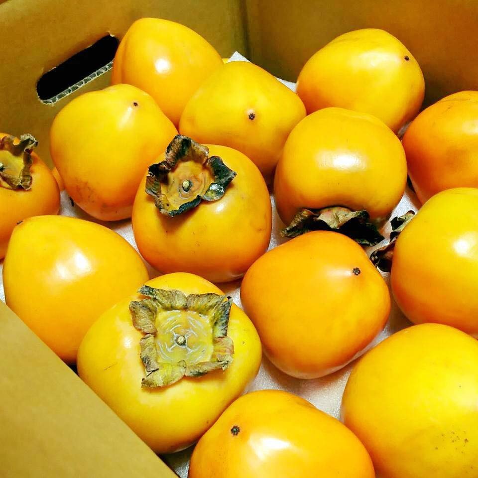 f0138278_18412937.jpg