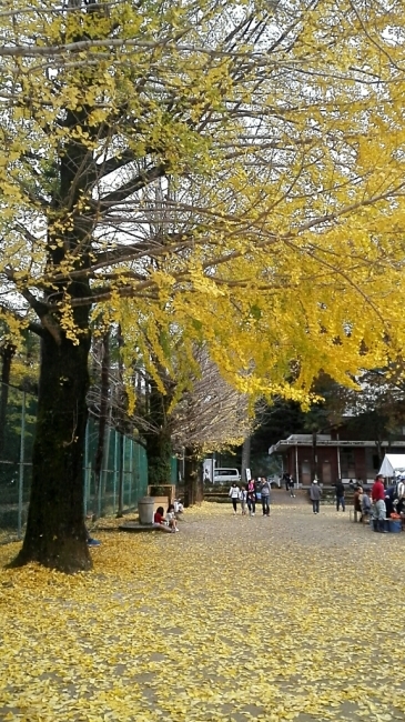 e0352681_15490542.jpg