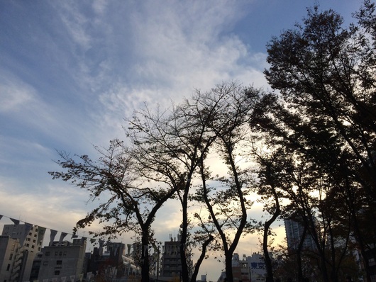 e0176783_024232.jpg