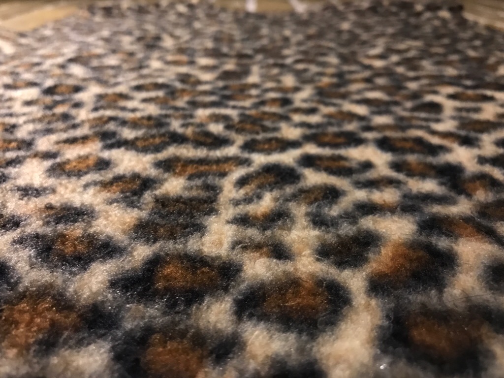 c0078587_1633152.jpg