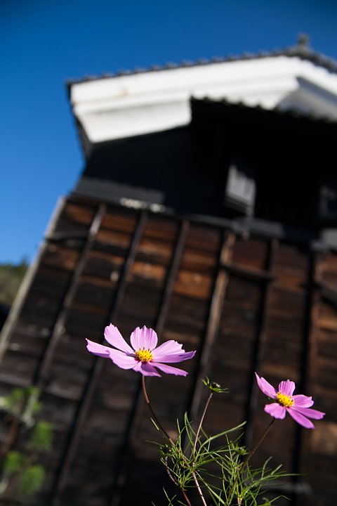 古き良き宿場町、妻籠_d0353489_13174786.jpg