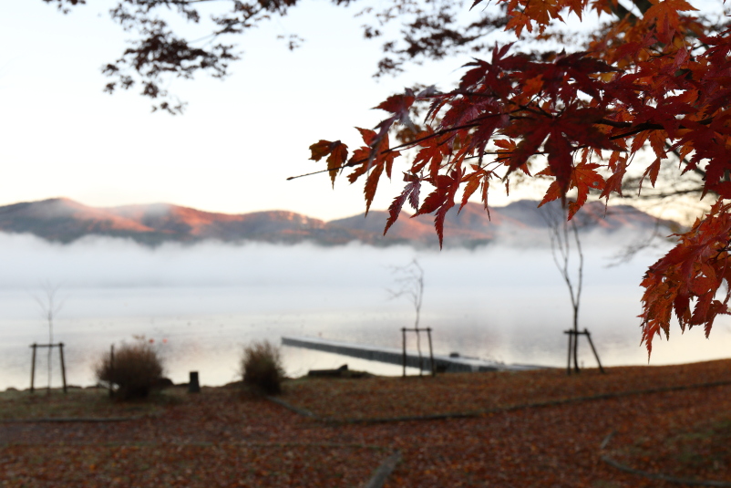 a0290990_2115559.jpg