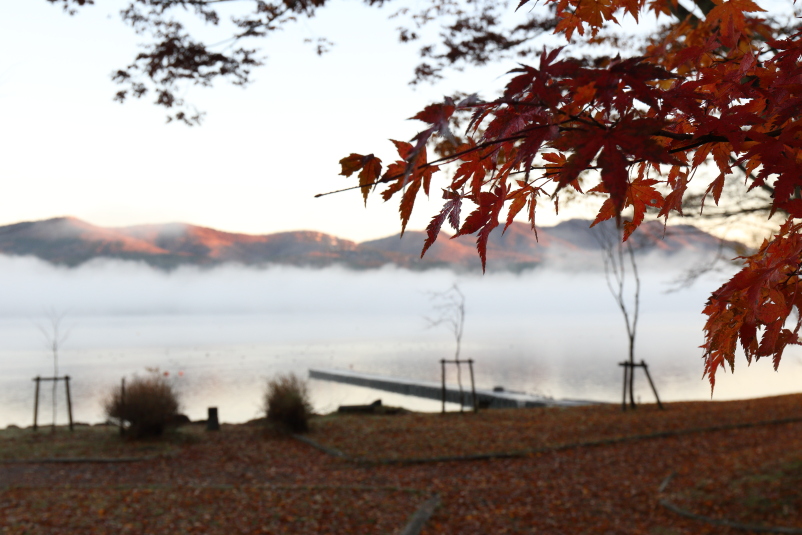 FUJIYAMA_a0290990_2115559.jpg