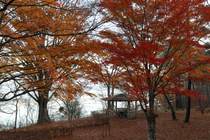 FUJIYAMA_a0290990_2123096.jpg