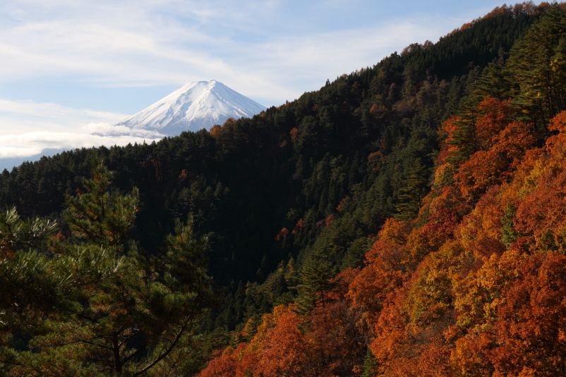 FUJIYAMA_a0290990_2124981.jpg