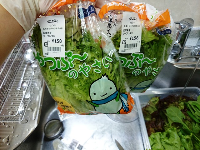 ようちち・・・ではありません_e0167593_0315091.jpg
