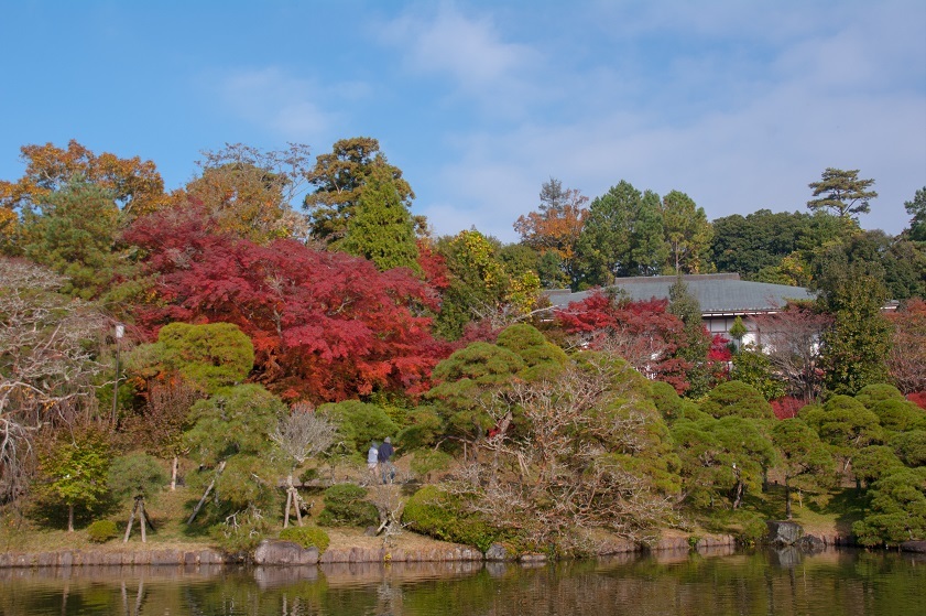 成田山公園_c0228194_08490043.jpg