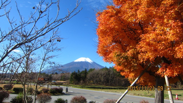 c0133096_21005695.jpg