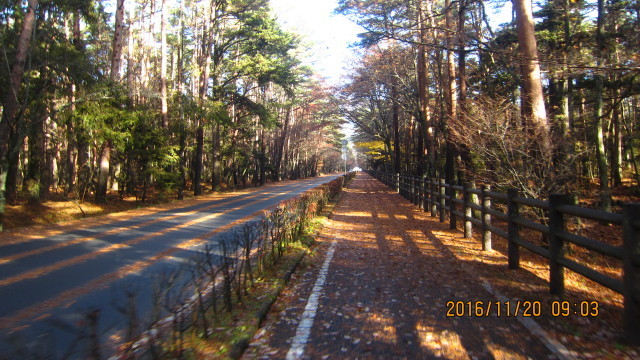 c0133096_21030151.jpg