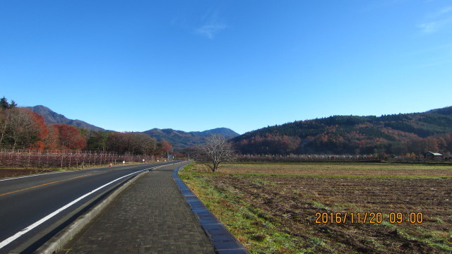 c0133096_21035655.jpg