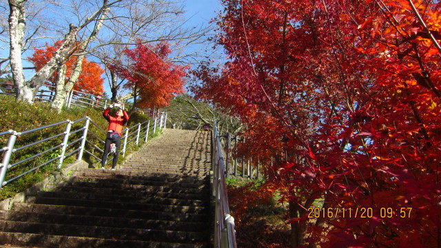 c0133096_21170054.jpg